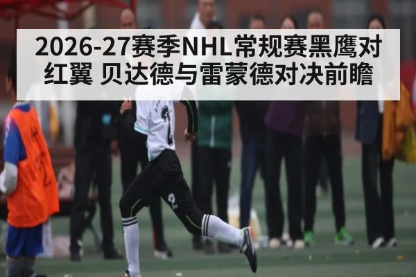 2026-27赛季NHL常规赛黑鹰对红翼 贝达德与雷蒙德对决前瞻