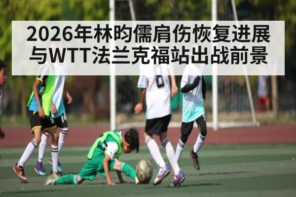 2026年林昀儒肩伤恢复进展与WTT法兰克福站出战前景